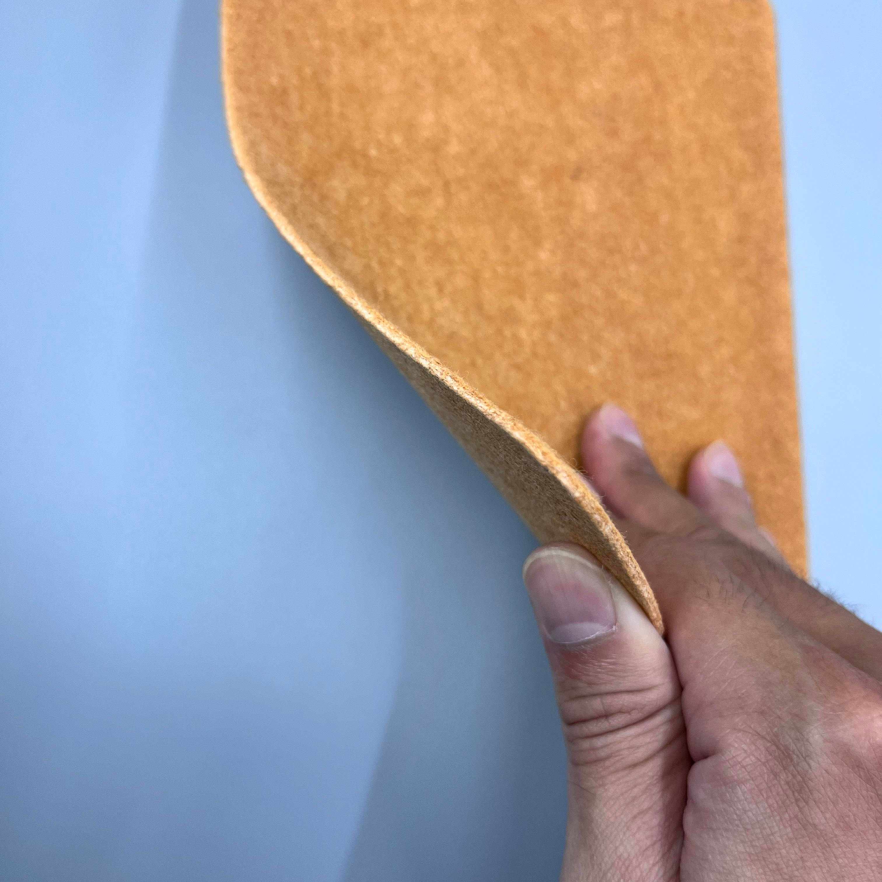 Scheda inSole per le scarpe